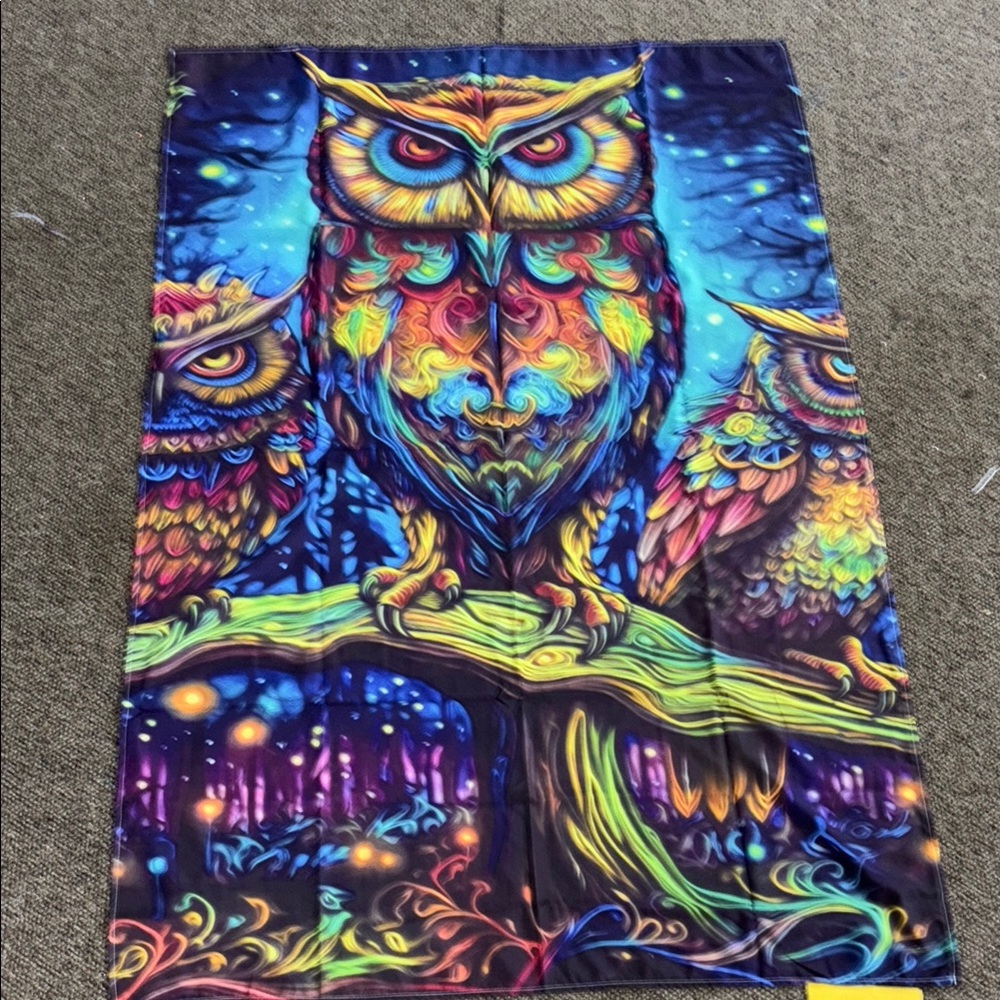 Vibrant Owl Illustration Art Print